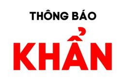 Hải Phòng phát thông báo khẩn tìm người liên quan đến Bệnh viện Phổi Hà Nội