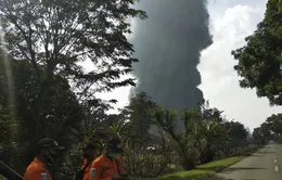Hỏa hoạn nghiêm trọng tại nhà máy lọc dầu ở Indonesia, 5 người bị thương, hàng trăm người phải sơ tán