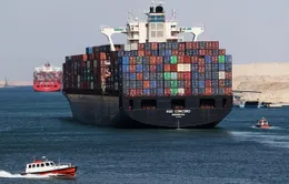 Kênh đào Suez tắc nghẽn khiến chi phí vận tải biển tăng vọt