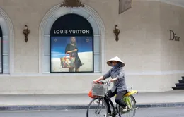 Số người siêu giàu tại Việt Nam giảm