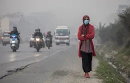 Khói bụi bao trùm từ hàng trăm đám cháy rừng, Nepal đóng cửa trường học trên cả nước