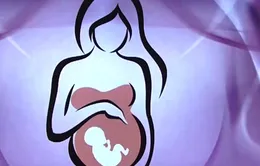 Phạt tù nhóm lừa chạy án cho nghi phạm “tổ chức mang thai hộ”