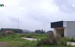 Khu đất dịch vụ 10 năm không có điện nước
