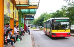 Doanh thu teo tóp của xe bus Hà Nội