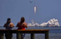 SpaceX giành được hợp đồng phát triển tàu vũ trụ đưa người lên mặt trăng của NASA