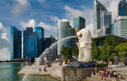 Singapore nới lỏng các quy định giãn cách theo hai giai đoạn