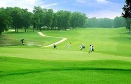 Dự án sân golf Đak Đoa có làm mất rừng hay không?