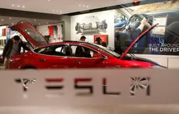 Tesla thắng đậm trong quý 3