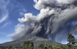 Núi lửa Sinabung (Indonesia) phun trào, đẩy tro bụi cao 1.000m lên không trung