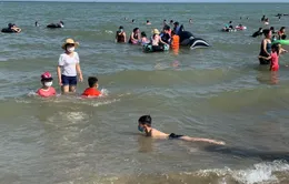 Hình ảnh khác lạ tại bãi biển Sầm Sơn trong ngày đầu nghỉ lễ