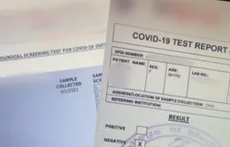 New Zealand cảnh báo về giấy chứng nhận âm tính với SARS-CoV-2 giả