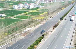 Xe tải va chạm xe bus trên cao tốc ở Trung Quốc, 11 nạn nhân tử vong