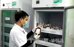 Tạm ngừng tiếp nhận máu nhóm B, AB