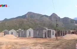 Quảng Trị: Ổn định cuộc sống cho người dân vùng sạt lở