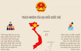 [Infographic] Tiêu chuẩn và trách nhiệm của đại biểu Quốc hội, đại biểu Hội đồng nhân dân