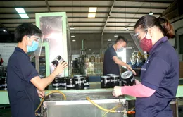 Siết việc cấp giấy phép cho lao động nước ngoài