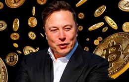 Bitcoin tiếp tục lao dốc sau tín hiệu mới từ Elon Musk