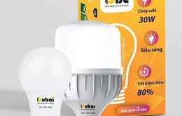 Dubai Electric kỳ vọng nâng tầm chất lượng ánh sáng