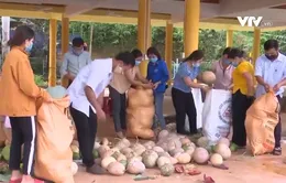 Hàng trăm nghìn khẩu trang, hàng tỷ đồng đồ thiết yếu gửi tới đồng bào ở tâm dịch