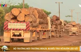 Bộ trưởng môi trường Brazil bị điều tra về buôn lậu gỗ