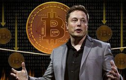 Elon Musk - Từ niềm cảm hứng tới mối đe dọa của tiền số