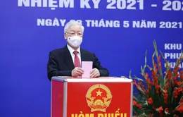 Dư luận quốc tế đánh giá cao công tác tổ chức bầu cử ở Việt Nam