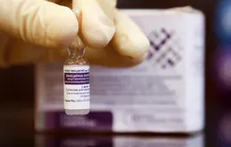 Nga sản xuất hàng loạt vaccine thứ ba KoviVac