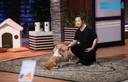 Shark Tank Việt Nam: Kỹ sư phần mềm 10 năm ở Mỹ gọi vốn cho camera theo dõi thú cưng