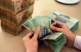 Tháng 1/2023, mỗi ngày thu hơn 5.300 tỷ đồng tiền thuế