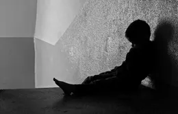 Chủ tịch nước yêu cầu xử lý nghiêm hành vi ngược đãi trẻ em