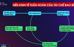 Kinh tế tuần hoàn: Cuộc chiến dài hơi, cần sự nỗ lực của nhiều bên