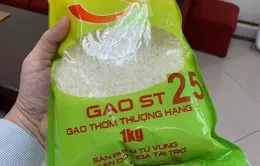 "Bắt tay" giành lại thương hiệu gạo ST25