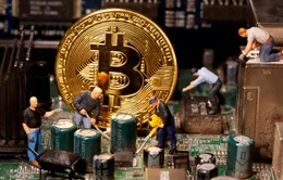 Bitcoin bị bán tháo, lao dốc không phanh: Vì đâu nên nỗi?