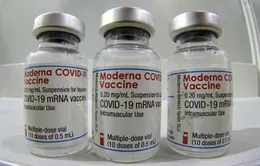 Không có mối liên hệ giữa vaccine của Moderna với chứng viêm tim