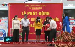 Cần Thơ hỗ trợ tiêu thụ vải Bắc Giang