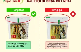 Cách nhận diện Kem đánh răng dược liệu Ngọc Châu chính hãng