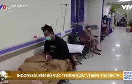 Biến thể Delta đẩy Indonesia tới bờ vực "thảm hoạ"