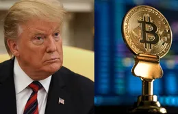 Bitcoin lao dốc sau khi bị ông Trump gọi là “trò lừa đảo”