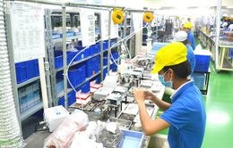 Nhiều doanh nghiệp TP Hồ Chí Minh kiên trì “mục tiêu kép”, chống đứt gãy sản xuất