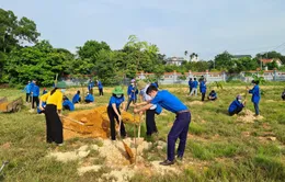 Đoàn thanh niên ra quân Ngày cao điểm Tình nguyện chung tay xây dựng nông thôn mới