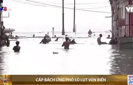 Cấp bách ứng phó lũ lụt ven biển