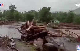 Hàng trăm người thiệt mạng vì mưa lũ ở Ấn Độ