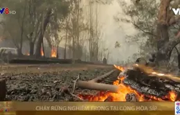 Châu Âu hỗ trợ Cộng hòa Síp đối phó cháy rừng nghiêm trọng nhất trong lịch sử