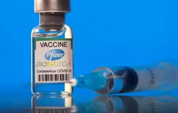 Hơn 90.000 liều vaccine Pfizer sắp về Việt Nam