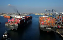 Cước vận chuyển container lại tăng sốc
