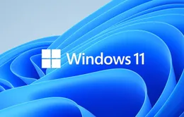 Cảnh báo lỗi trên trình duyệt Internet Explorer sau khi cập nhật Windows 11