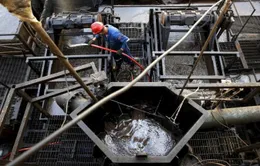 OPEC+ đàm phán thất bại, Mỹ tăng sản lượng để giữ giá