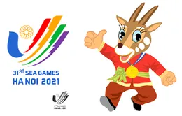 Liên đoàn Thể thao Đông Nam Á ủng hộ không tổ chức SEA Games 31 trong năm 2021