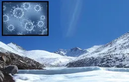 Phát hiện hàng loạt loài virus mới “ngủ đông” trong lớp băng 15.000 năm