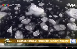 LHQ công bố báo cáo "Báo động đỏ với nhân loại"